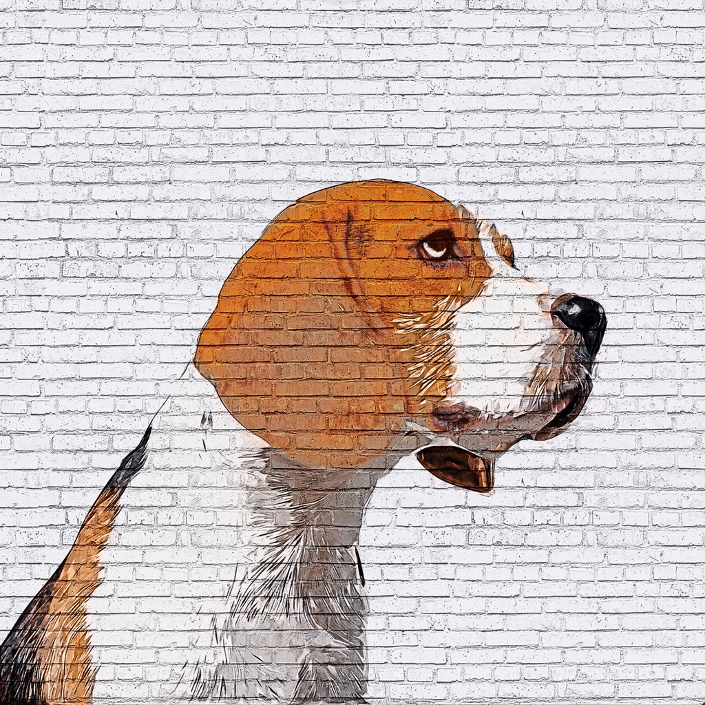 賢いビーグル犬