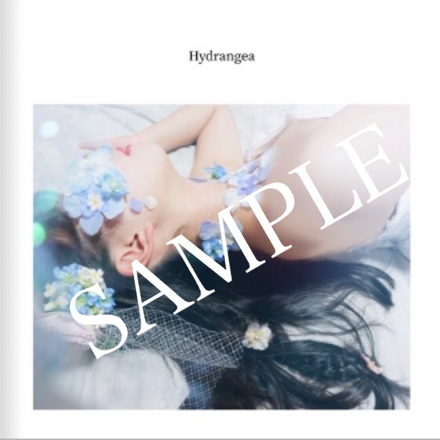 Hydrangea(紫陽花創作コス写真集)