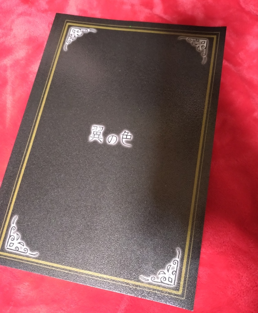 翼の色 vol.1***ブレスオブファイア(イラストまとめ本)