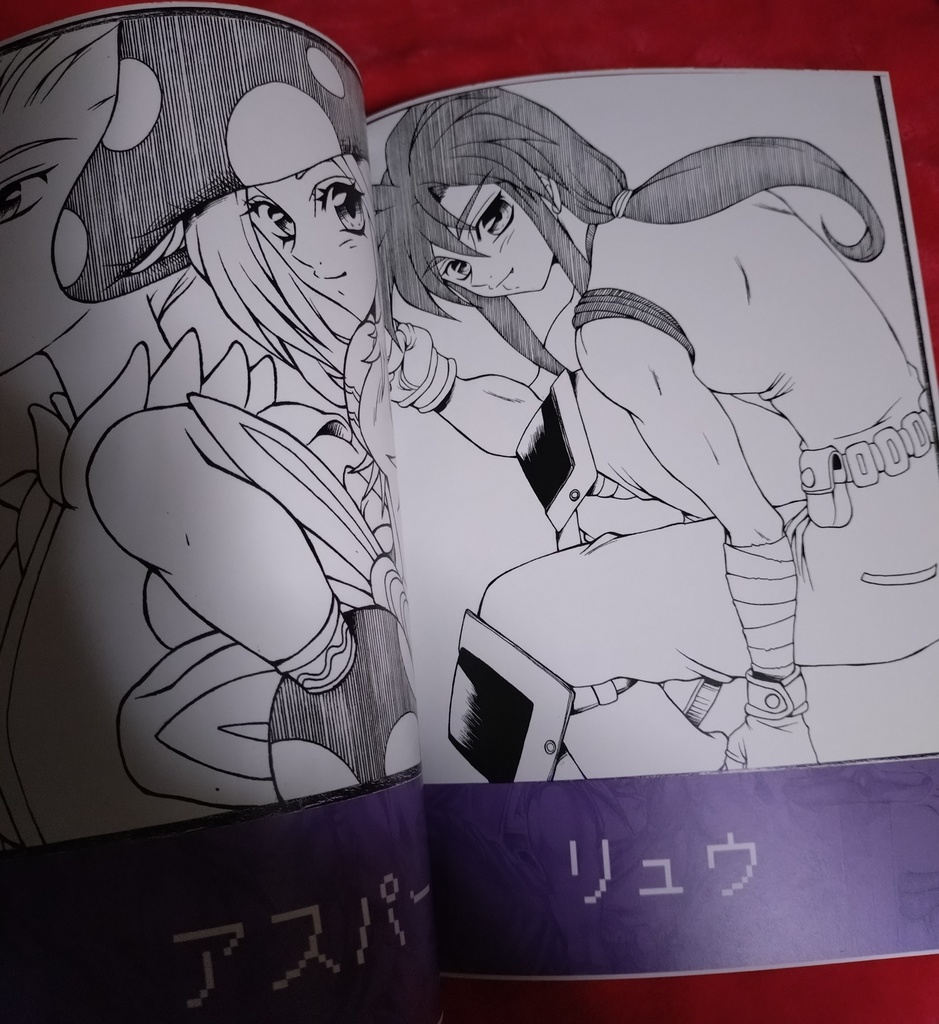 翼の色 vol.1***ブレスオブファイア(イラストまとめ本)