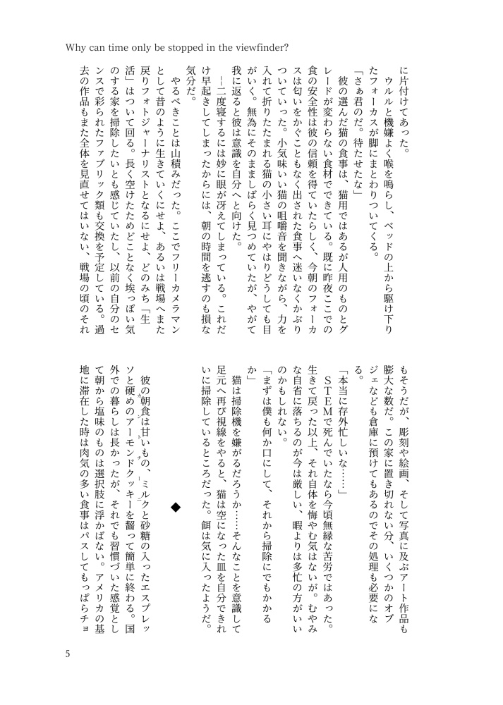 【完売】限りなく創作に近いステファノさんの本2