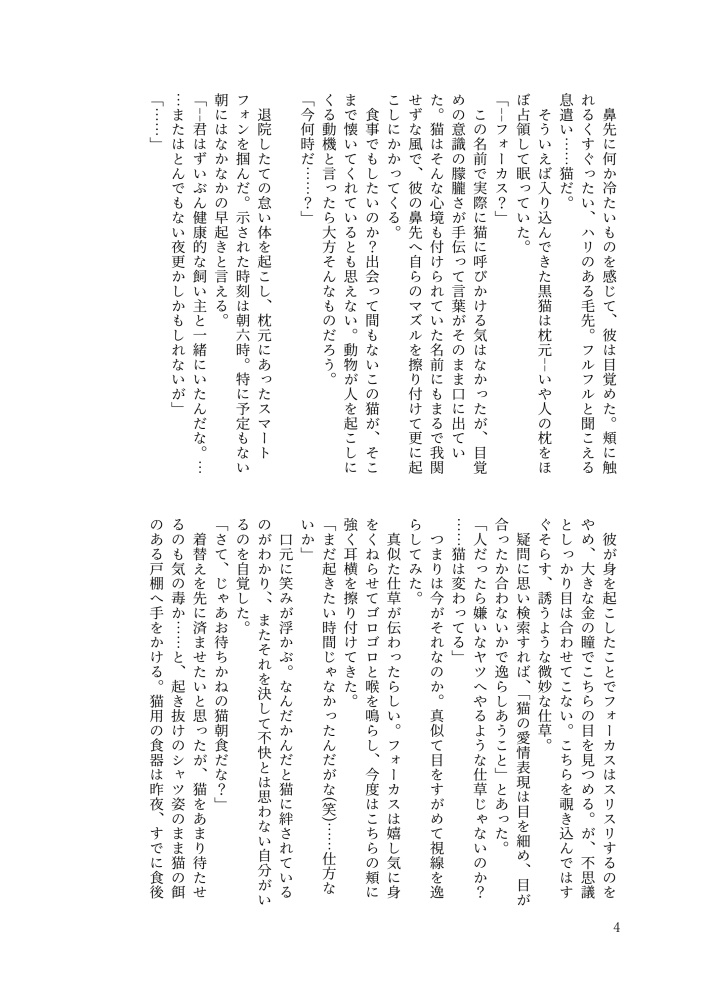 【完売】限りなく創作に近いステファノさんの本2