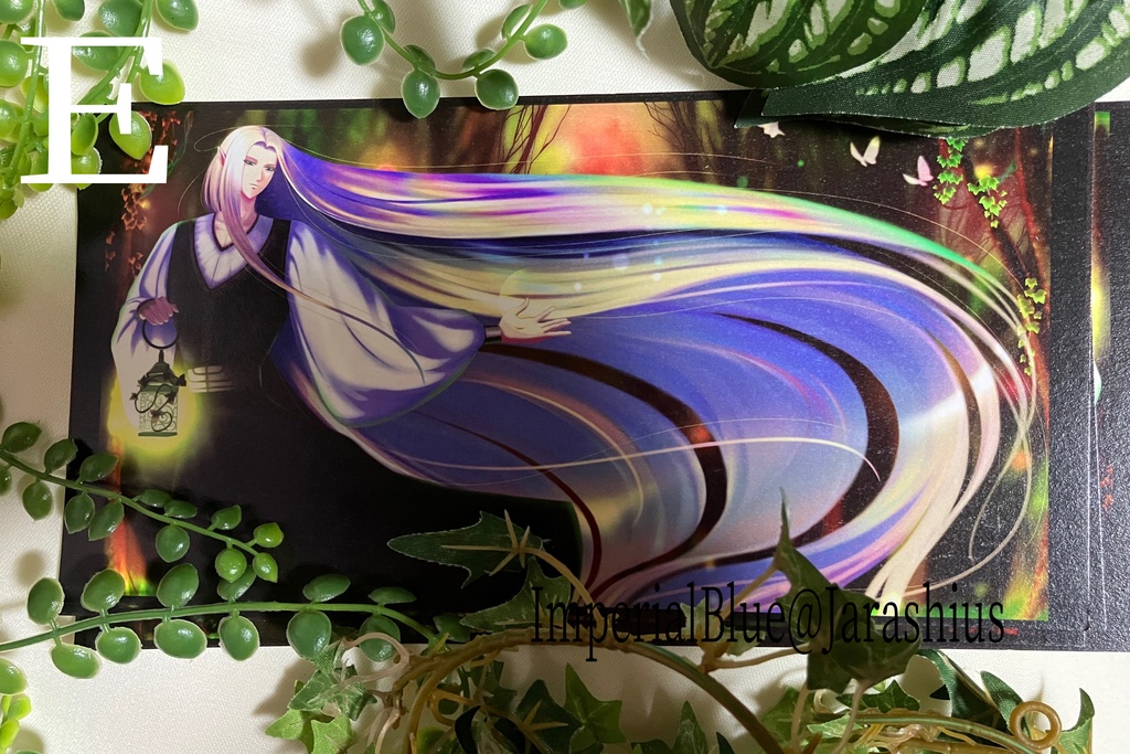 ポストカード:バラ売り12種A~O