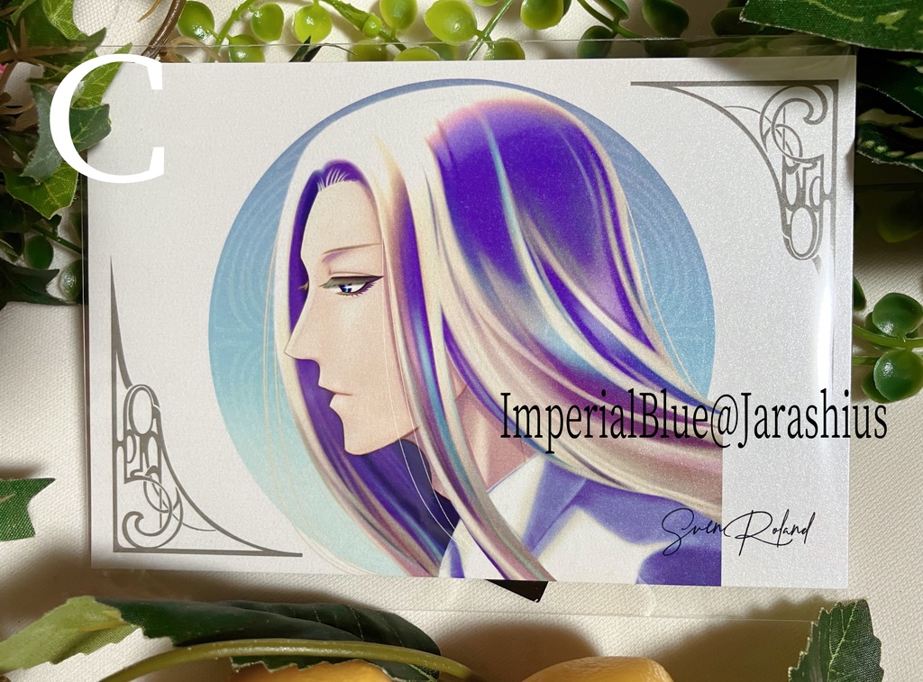 ポストカード:バラ売り12種A~O