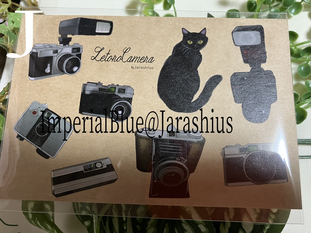 ポストカード:バラ売り12種A~O