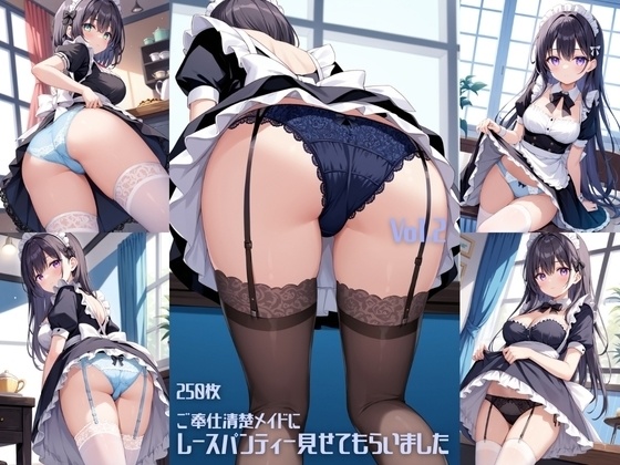  ご奉仕清楚メイドにレースパンティーみせてもらいました Vol.2【250枚】