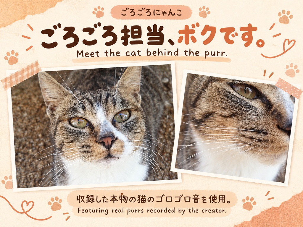 【VRChat・PC向け】ごろごろにゃんこ|本物の猫のゴロゴロ音・Modular Avatar対応