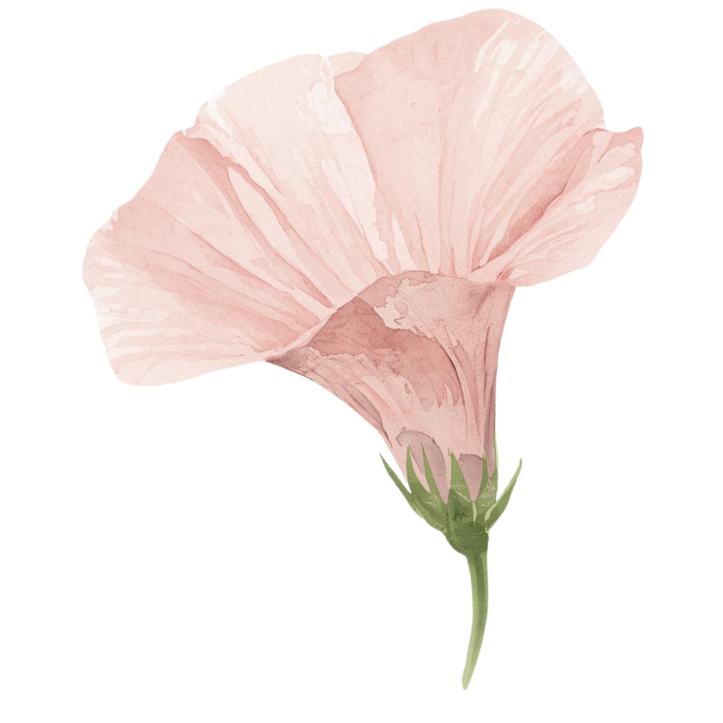 日本の季節の花シリーズ|アンティーク水彩クリップアート(全12種)|PNGデータ