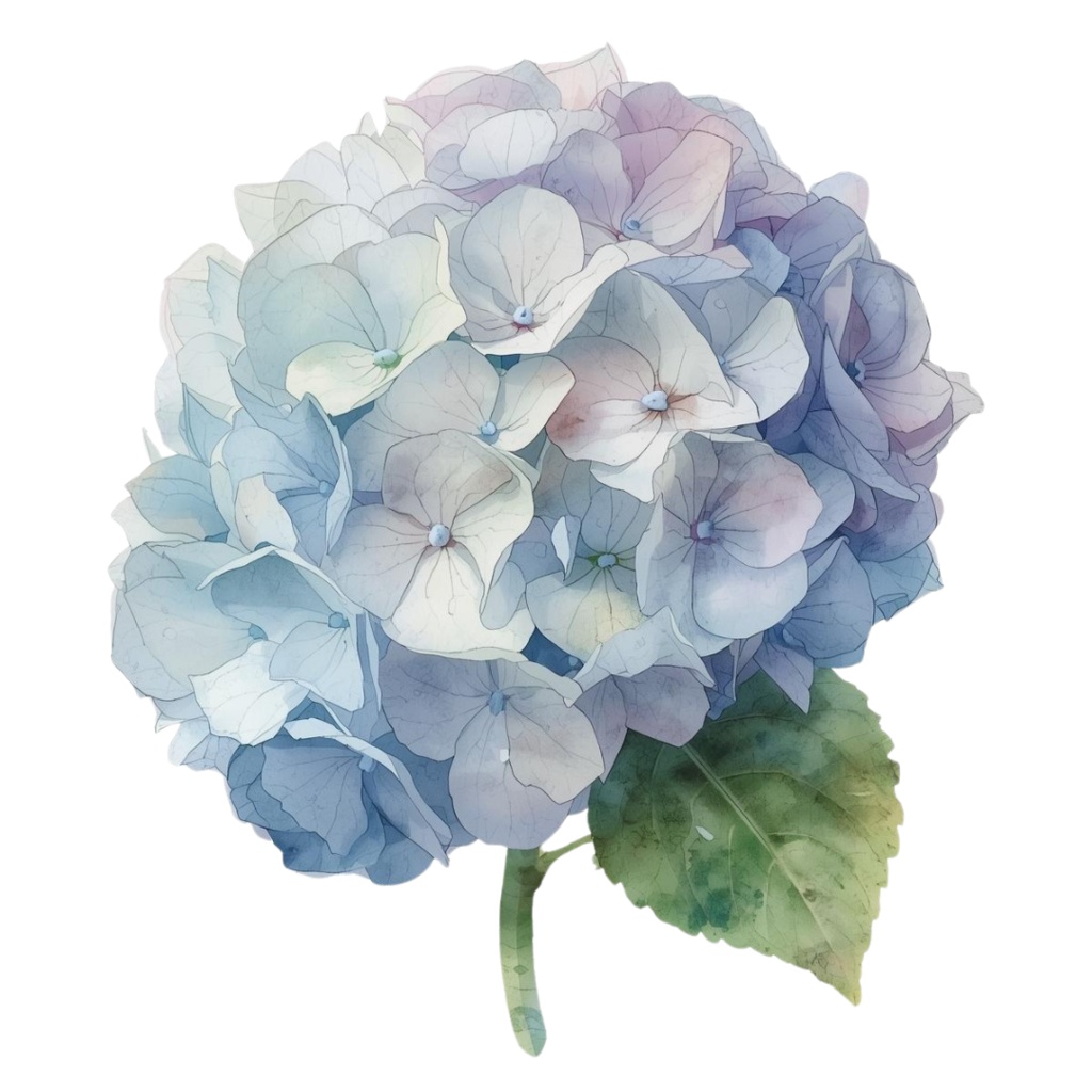 日本の季節の花シリーズ|アンティーク水彩クリップアート(全12種)|PNGデータ