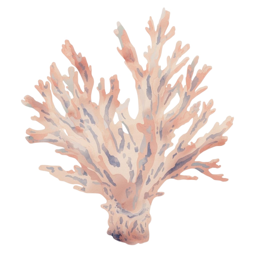 水彩アンティーク 水族館の生き物シリーズ|全12種類 PNGクリップアート