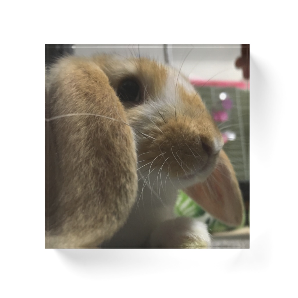 湊(アクリルブロック)