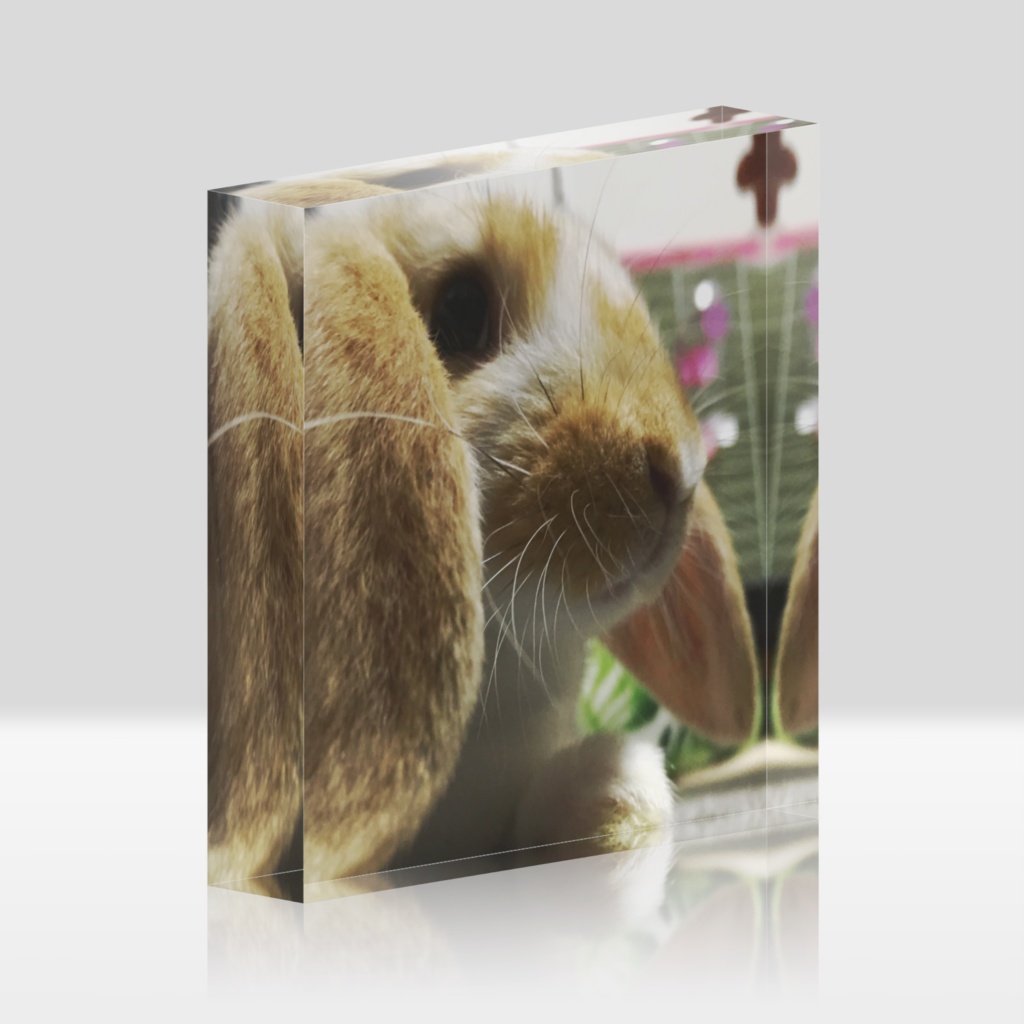 湊(アクリルブロック)