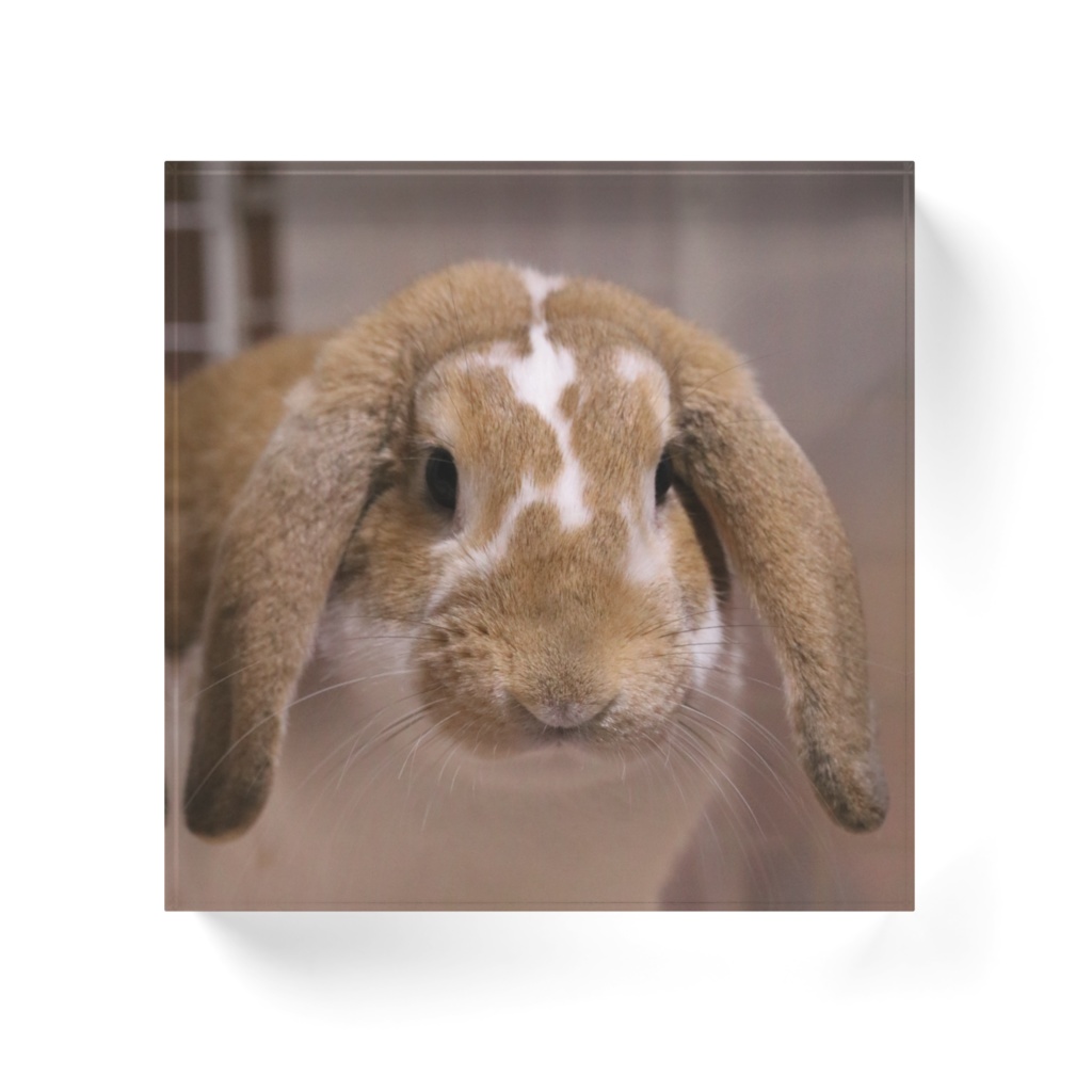 湊(アクリルブロック)