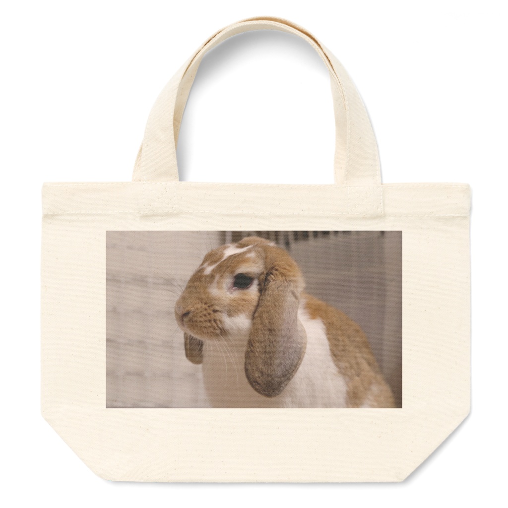 湊(トートバッグ)