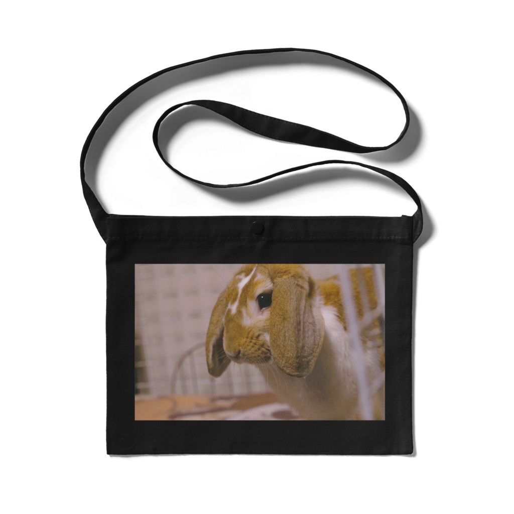 湊（サコッシュ）