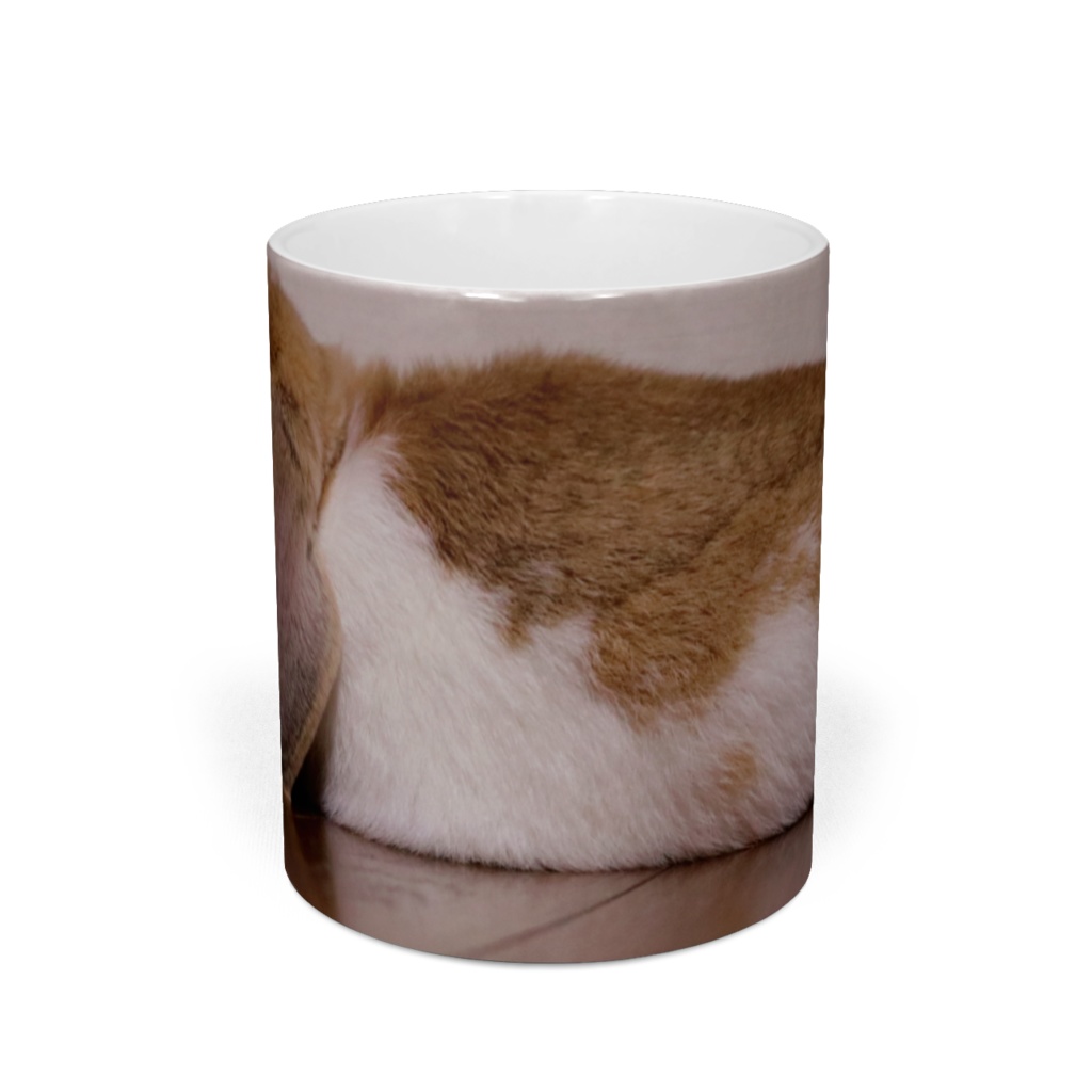 湊(マグカップ)