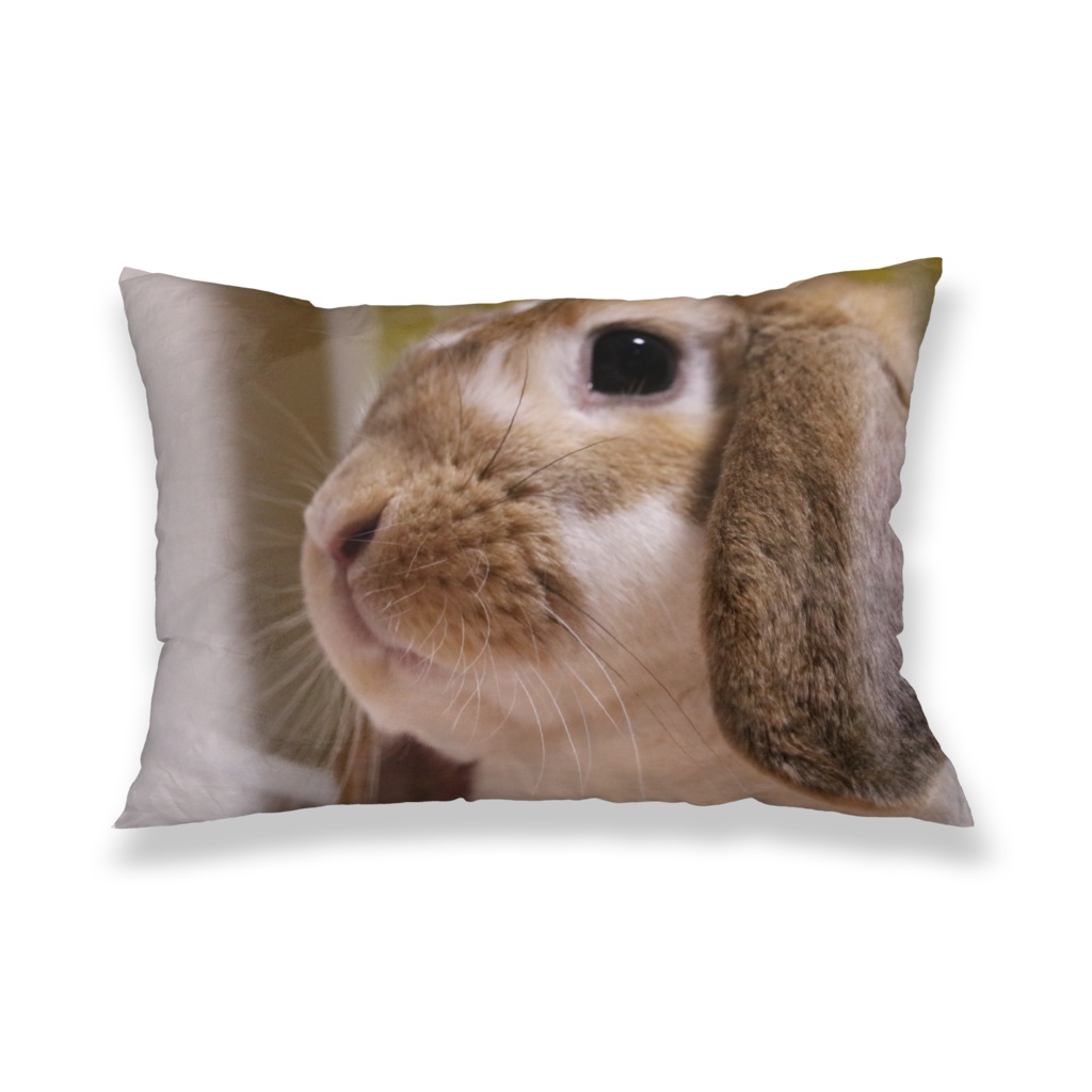 ベル&湊(枕カバー)