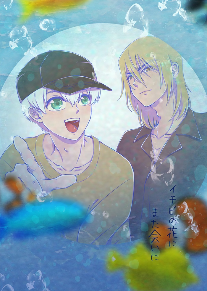 イチビの花にまた会いに