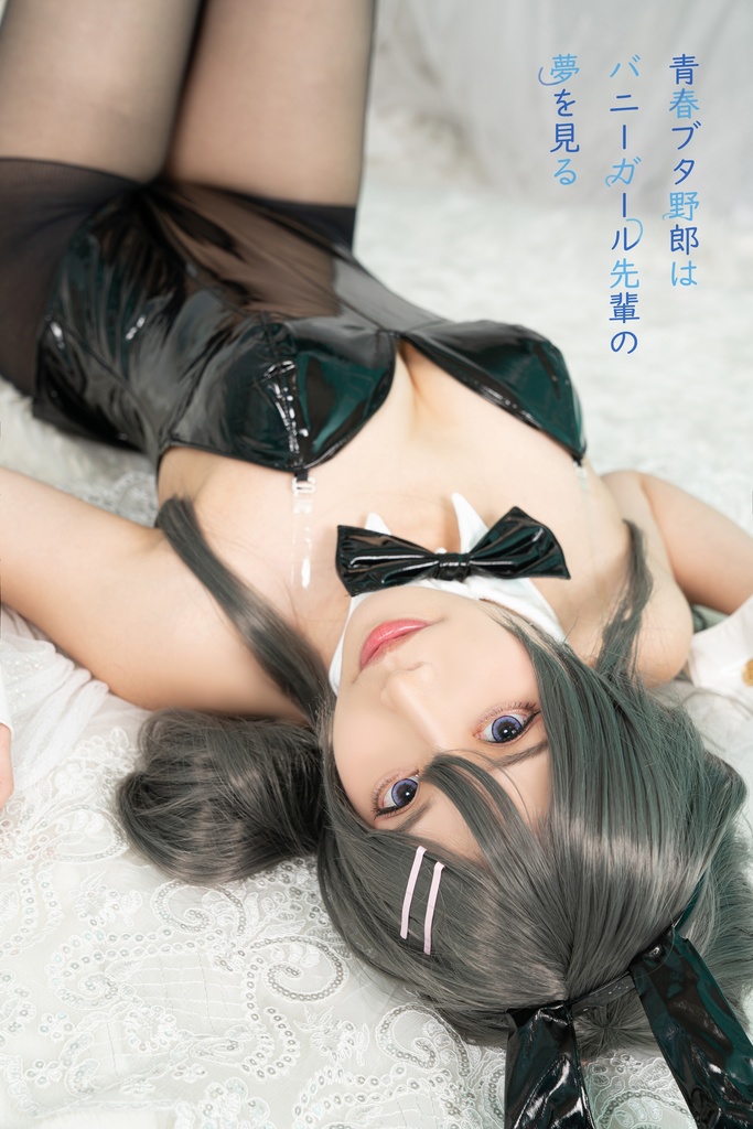 バニーガールの夢を見る