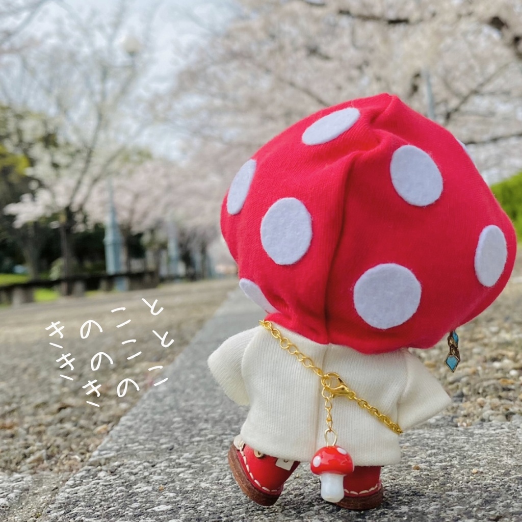 きのこときのこときのこのセット🍄