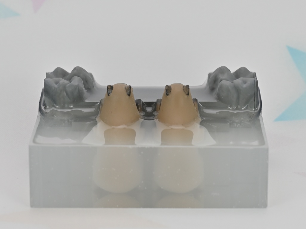 カピバラフィギュア:露天風呂篇 Pause-13 (仲良く並んで温まる仔カピ)