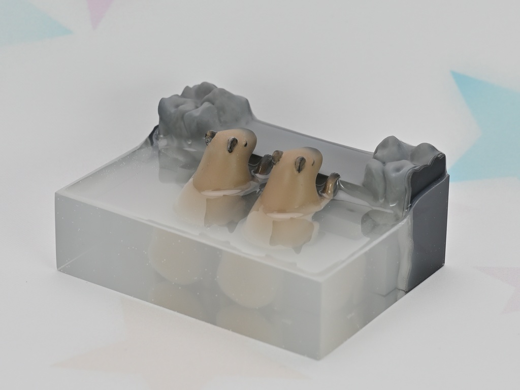 カピバラフィギュア:露天風呂篇 Pause-13 (仲良く並んで温まる仔カピ)