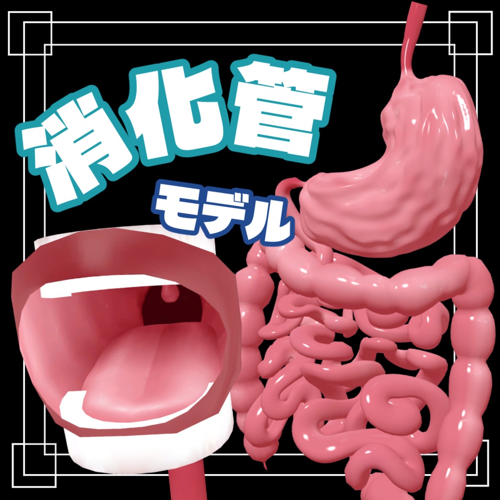 消化管3Dモデル