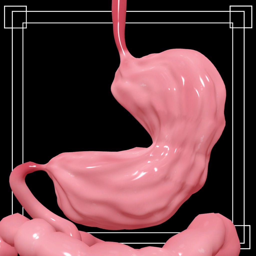消化管3Dモデル