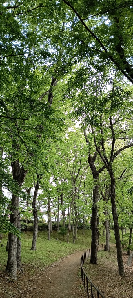 Green Scenery Wallpaper Set Vol.1（緑の風景スマホ壁紙セット）