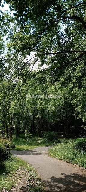 Free|Park|公園の風景|無料スマホ壁紙|自然風景