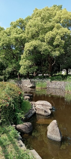 Free|Park|公園の風景|無料スマホ壁紙|自然風景