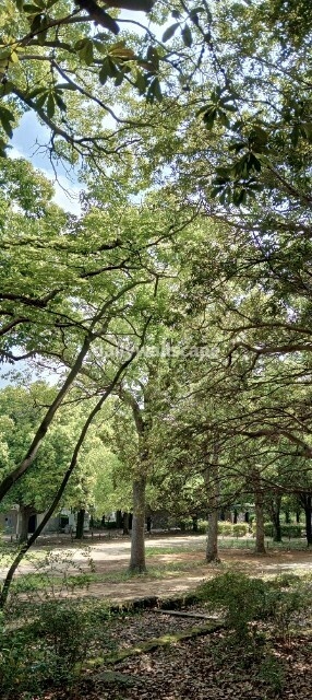 Free|Park|公園の風景|無料スマホ壁紙|自然風景