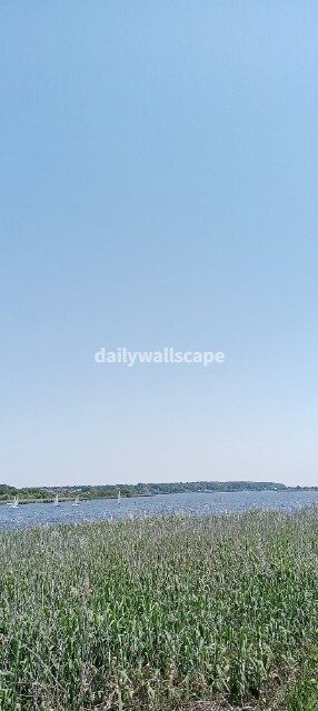 Lake Breeze|湖畔を吹き抜ける風|スマホ壁紙|自然風景