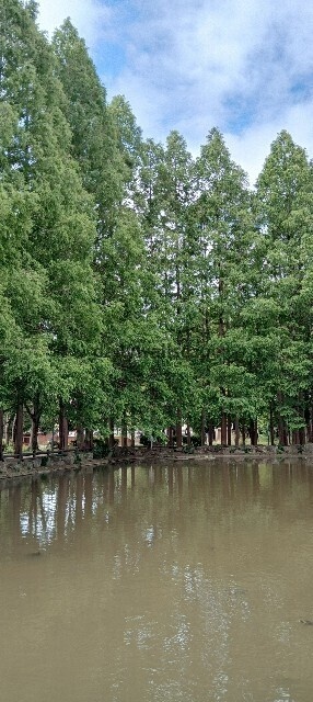 【One Day at the Park｜ある日、公園にて】