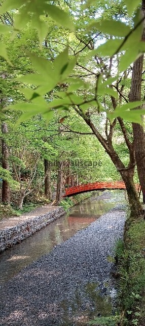 静寂の社 – Shrine of Silence –