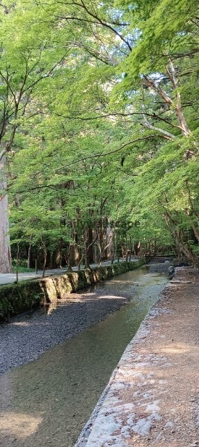小川のせせらぎ – Whispering Stream –