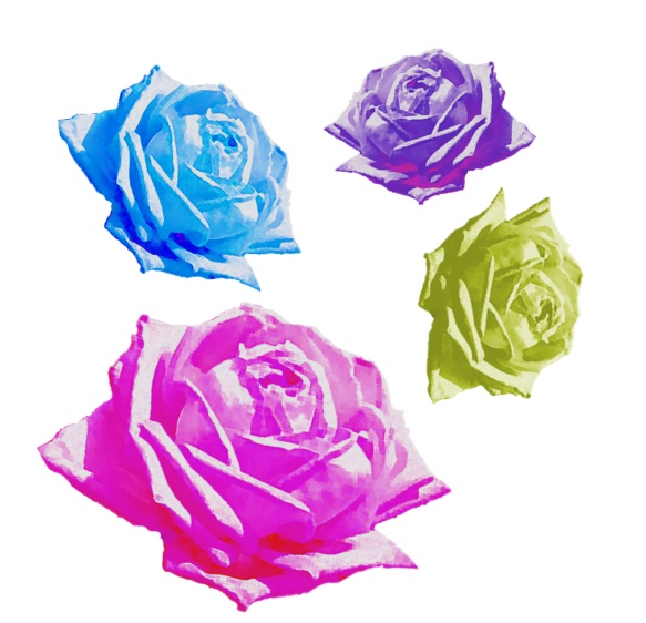 ローズ素材セット（透過PNG / 色違い・反転あり）