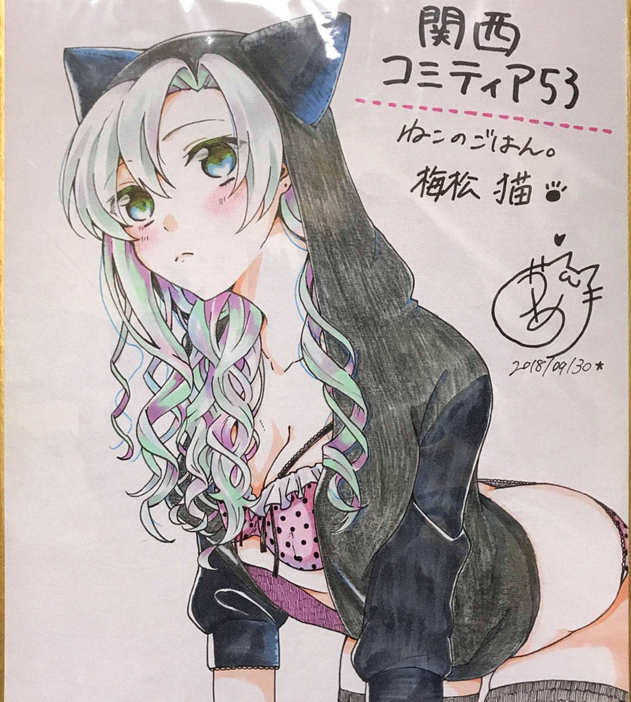 関西コミティア53用(だった)の色紙