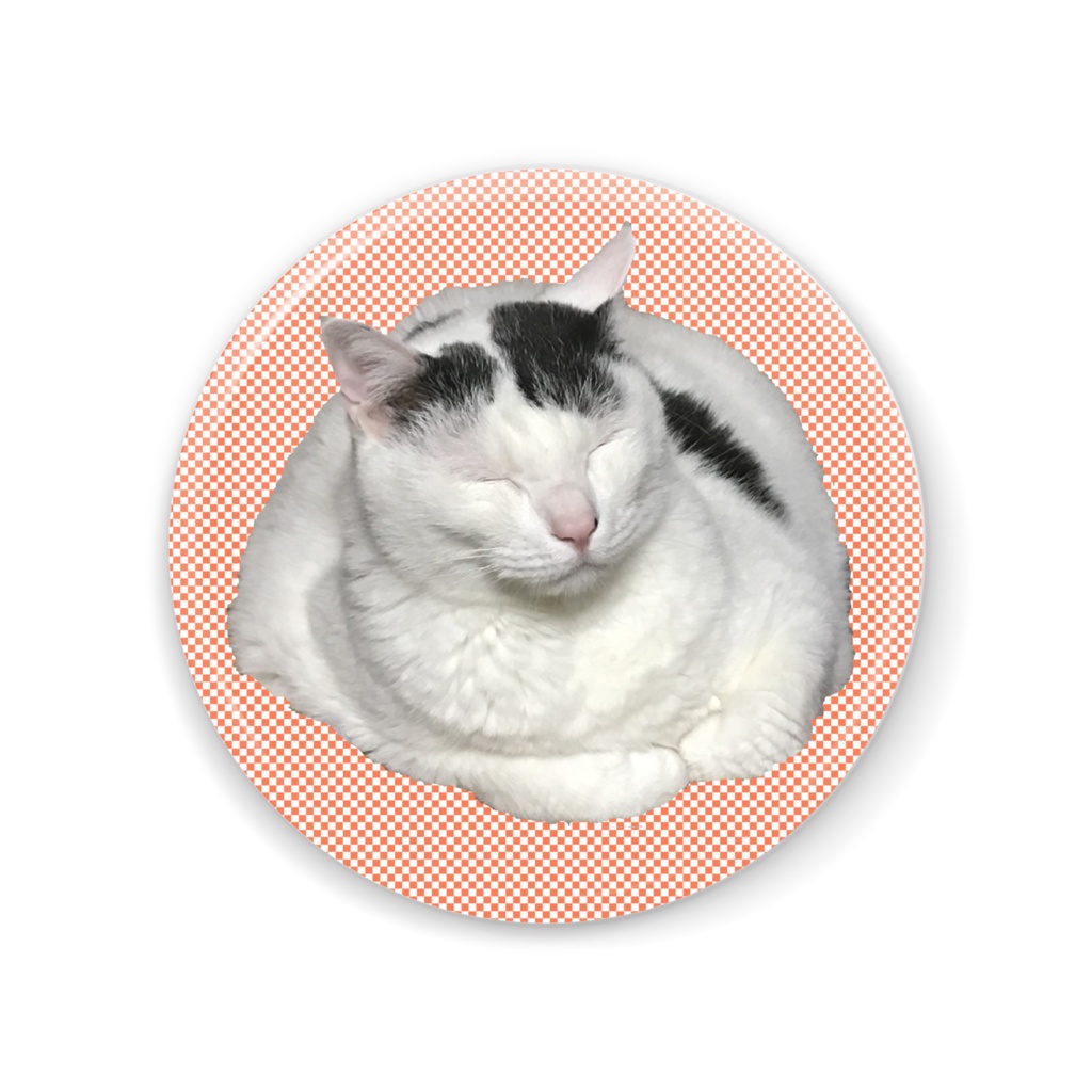 ねこのオヤスミラー