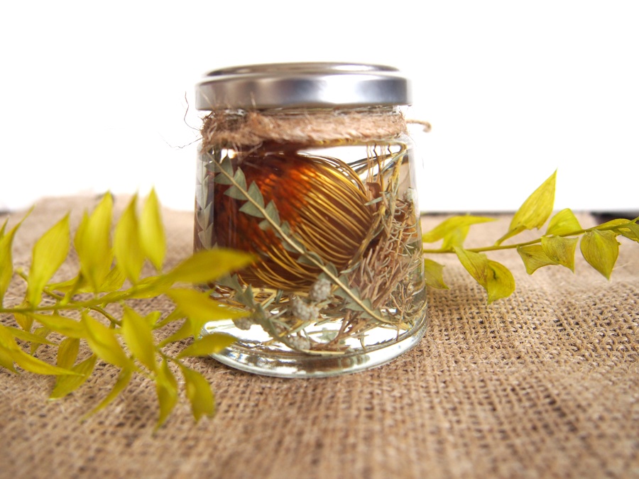 ドライアンドラのハーバリウム