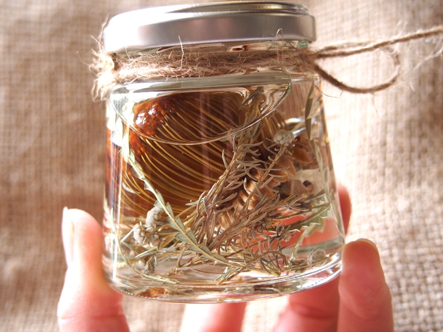 ドライアンドラのハーバリウム