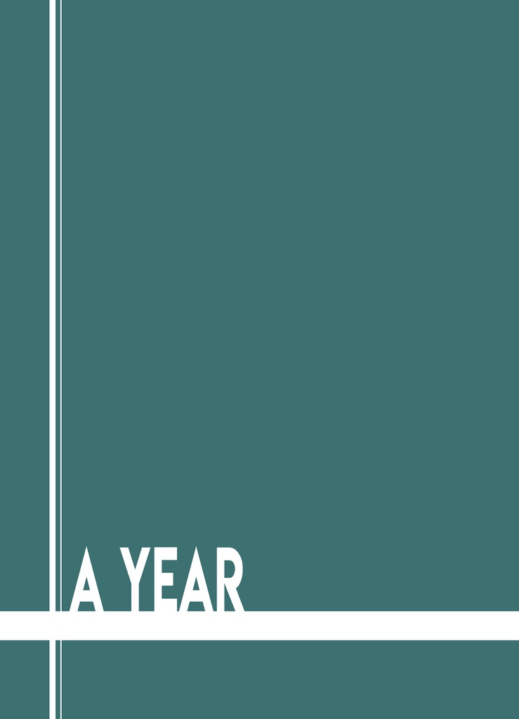 A YEAR