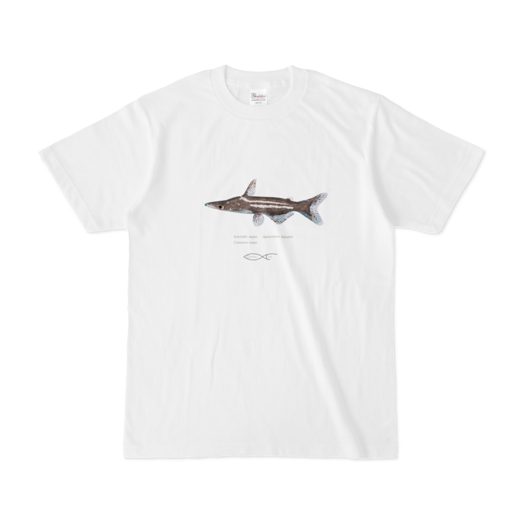 Ageneiosus lineatus T-shirt