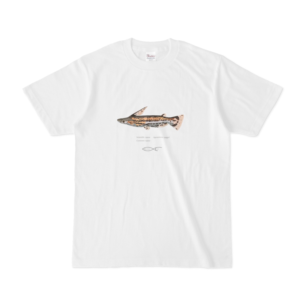 Ageneiosus magoi T-shirt