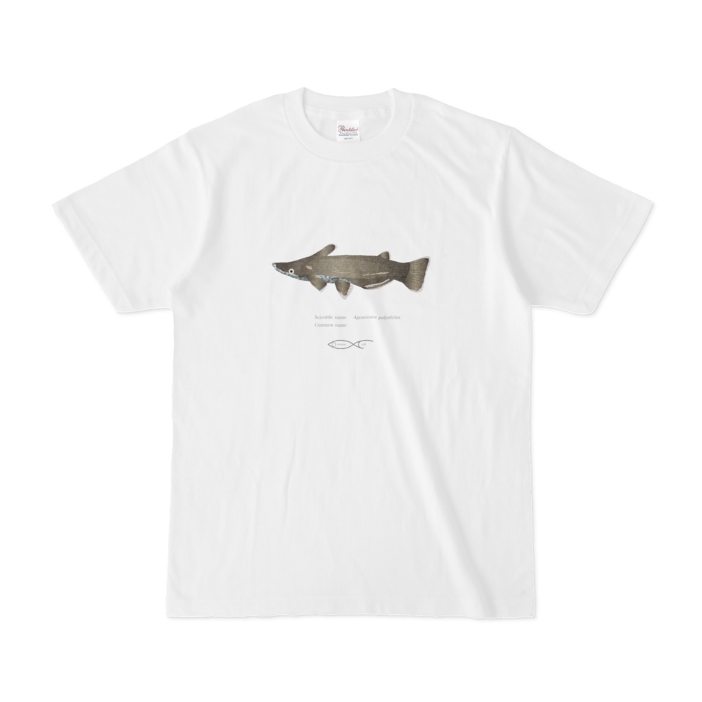 Osakanacraft  T-shirt Ageneiosus polystictus