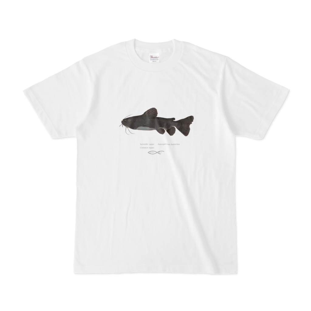 Asterophysus batrachus T-shirt