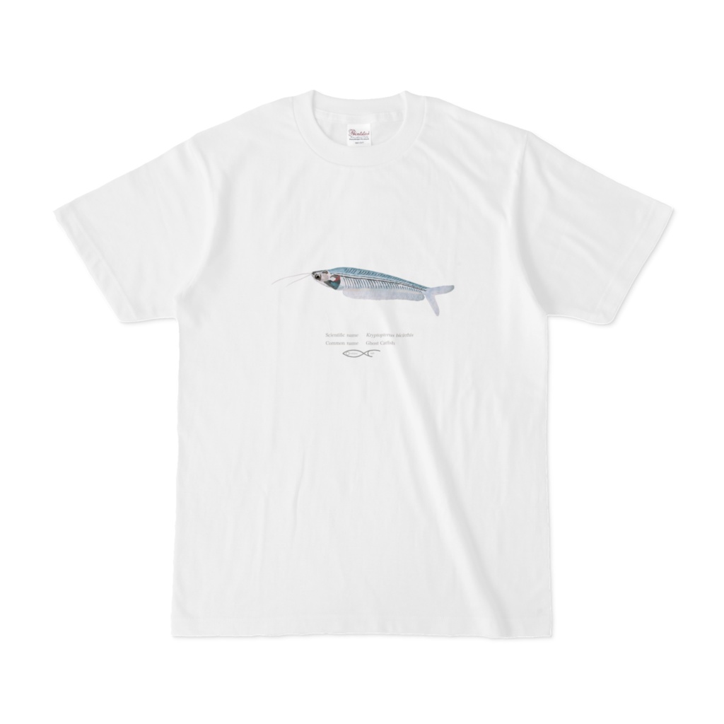 Kryptopterus bicirrhis(Ghost Catfish) T-shirt