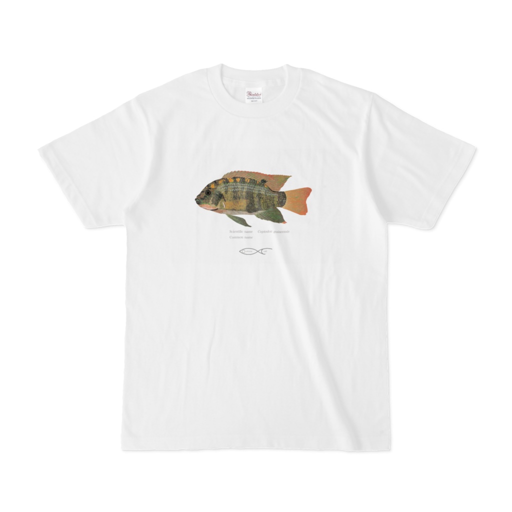 Coptodon guineensis T-shirt