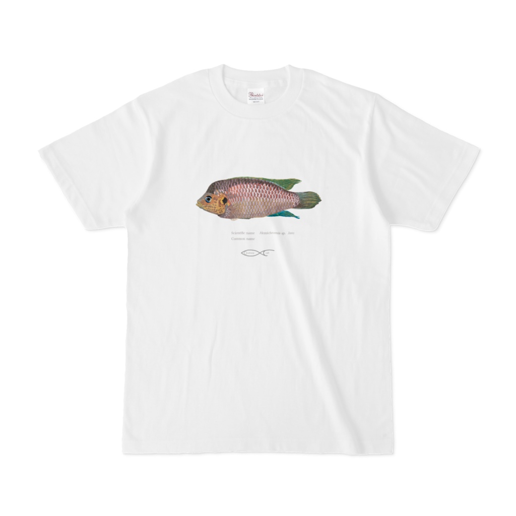 Hemichromis sp.Jare T-shirt