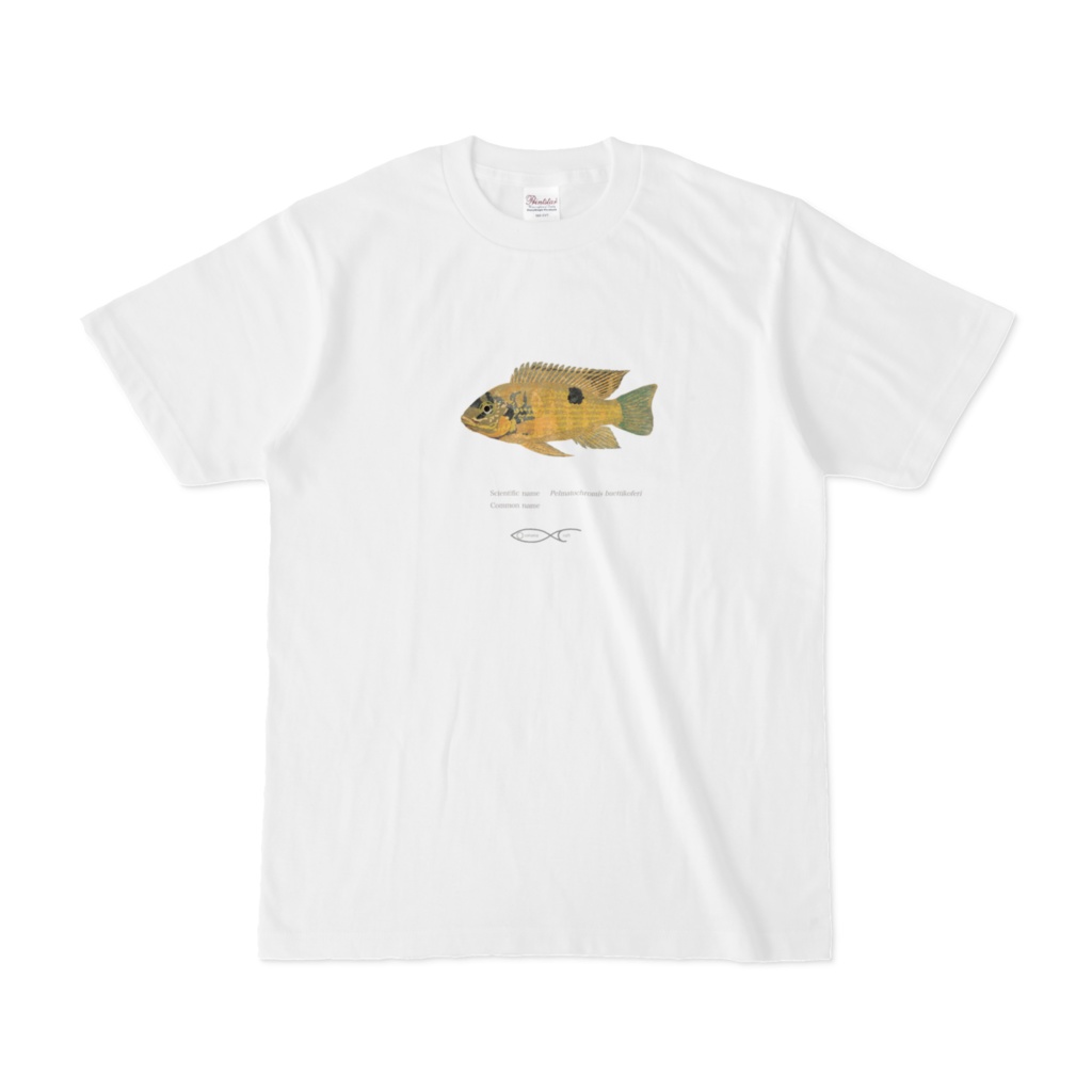 Pelmatochromis buettikoferi T-shirt